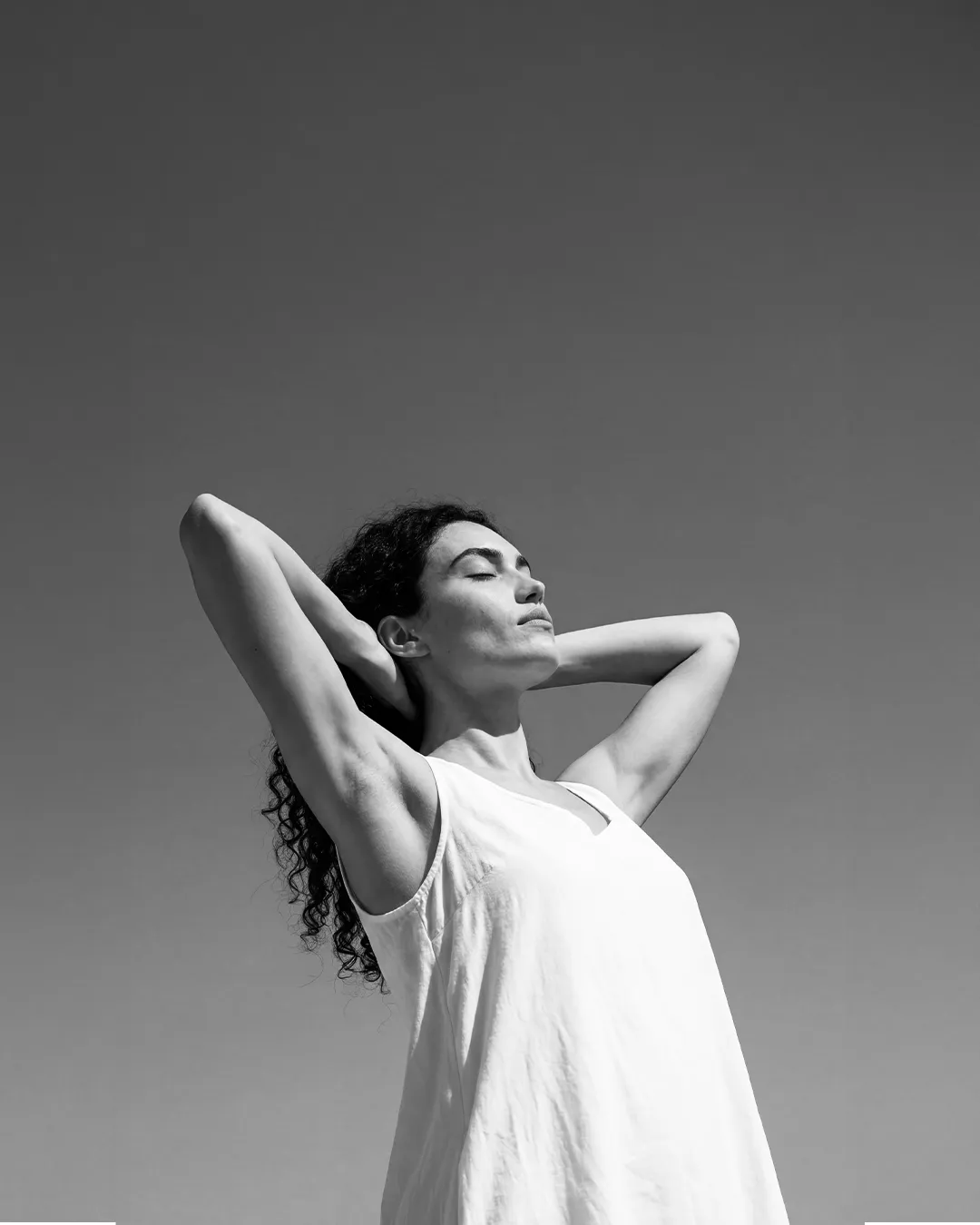 A serene moment of stillness